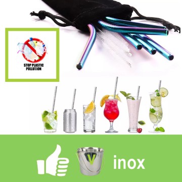 Lot 10 pailles en Acier Inoxydable, pailles métalliques réutilisables avec 2 pinceaux de Nettoyage pour Cocktails et Boissons