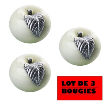 Bougie  POMME" diamètre 10 cm GRIS