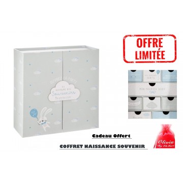 Valise enfant/fille ROSE LOVE PARIS 2031 ABS 50CM