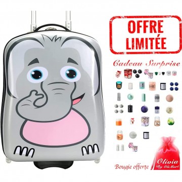Valise cabine enfant/fille ROSE LOVE PARIS ABS 50X33X20CM