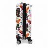 Valise cabine, valise rigide