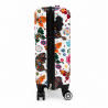 Valise cabine, valise rigide