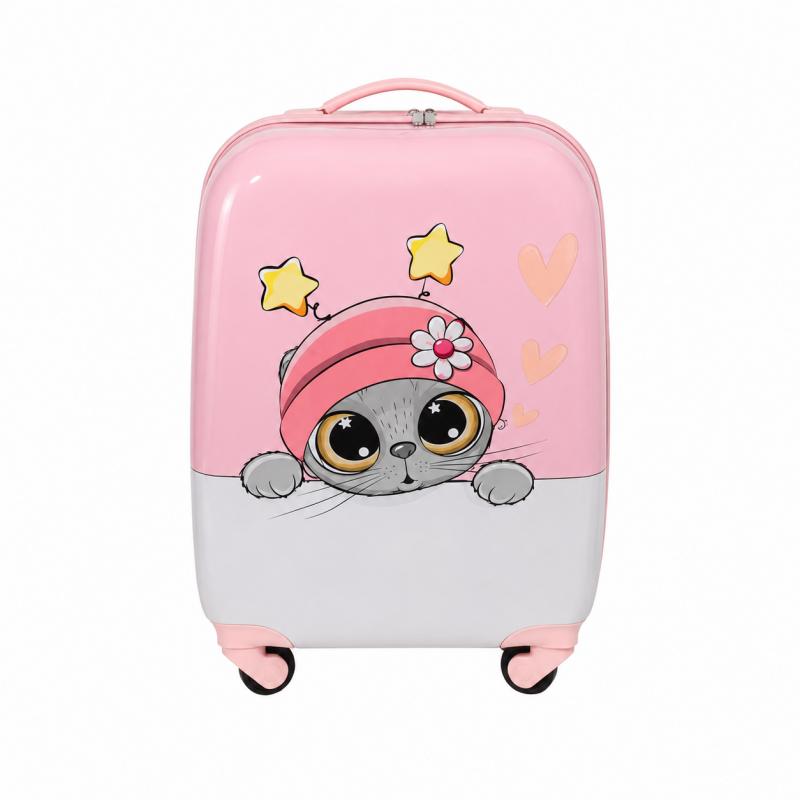 Valise cabine, valise rigide