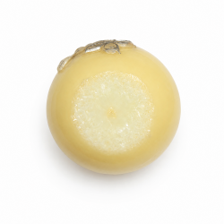Bougie Ronde "FLEUR" diamètre 10 cm ECRU