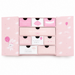 Valise enfant/fille ROSE LOVE PARIS 2031 ABS 50CM